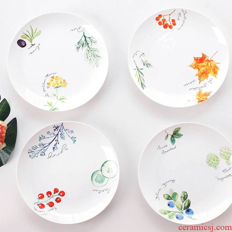 Ceramic tableware pasta steak plate of western dishes creative breakfast fruit dish dish dish tray plates