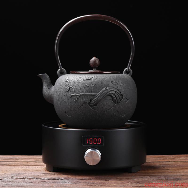 ZongTang iron pot of cast iron teapot tea kettle imitation in southern Japan boiling tea machine electricity TaoLu half a hand