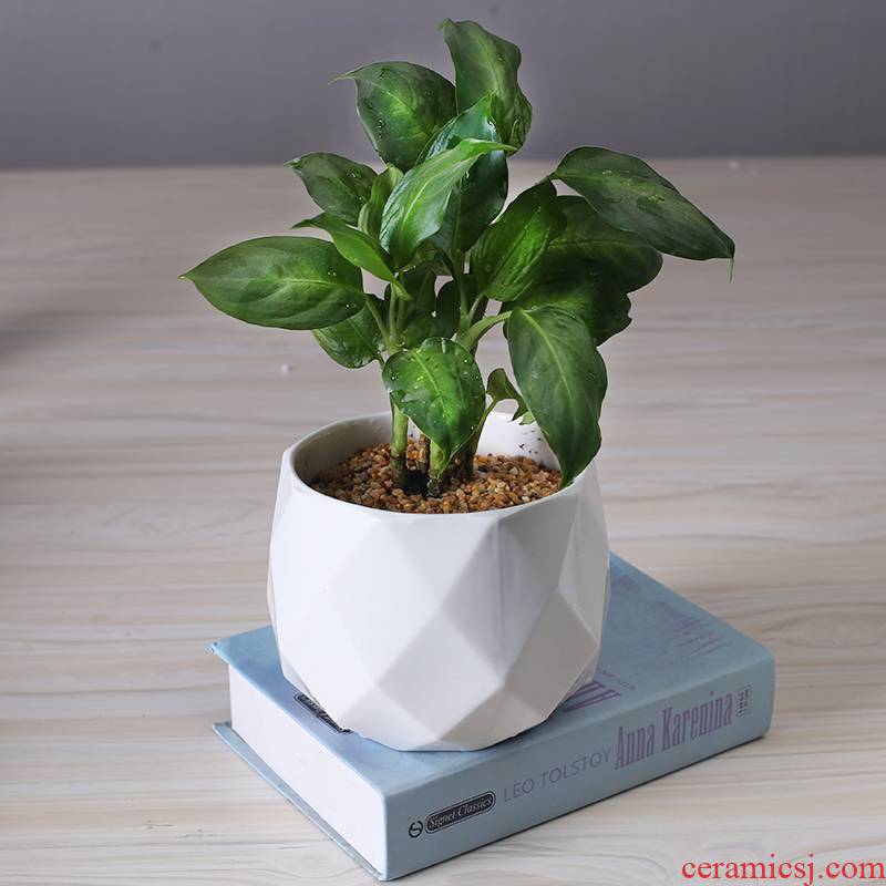 Boreal Europe style indoor desktop ceramic flower pot creative move other rich tree green plant POTS contracted household