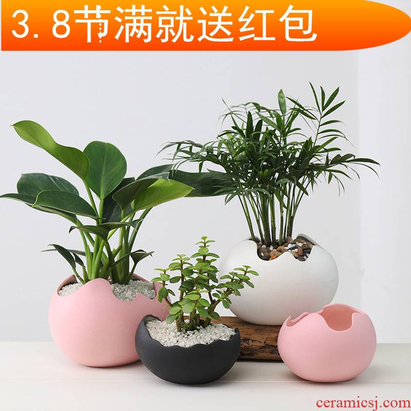 Contracted and creative move other copper grass green plant hydroponic flower pot fleshy retro desktop water flowers exchanger with the ceramics basin