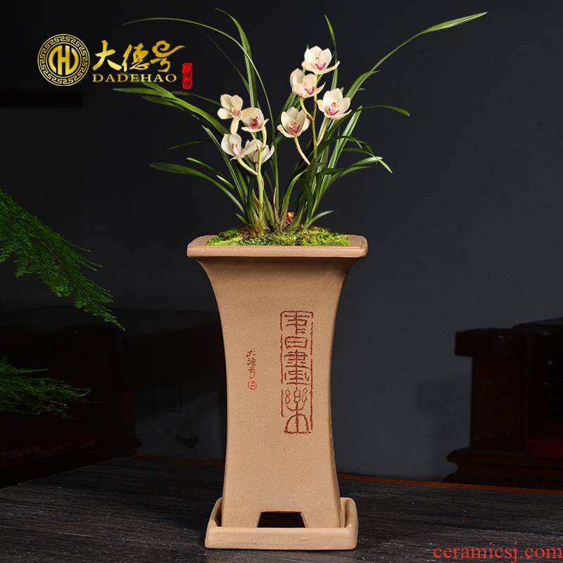 Greatness, square ceramic violet arenaceous basin valuable up phnom penh special seasons orchid plant bluegrass breathable clivia flower pot
