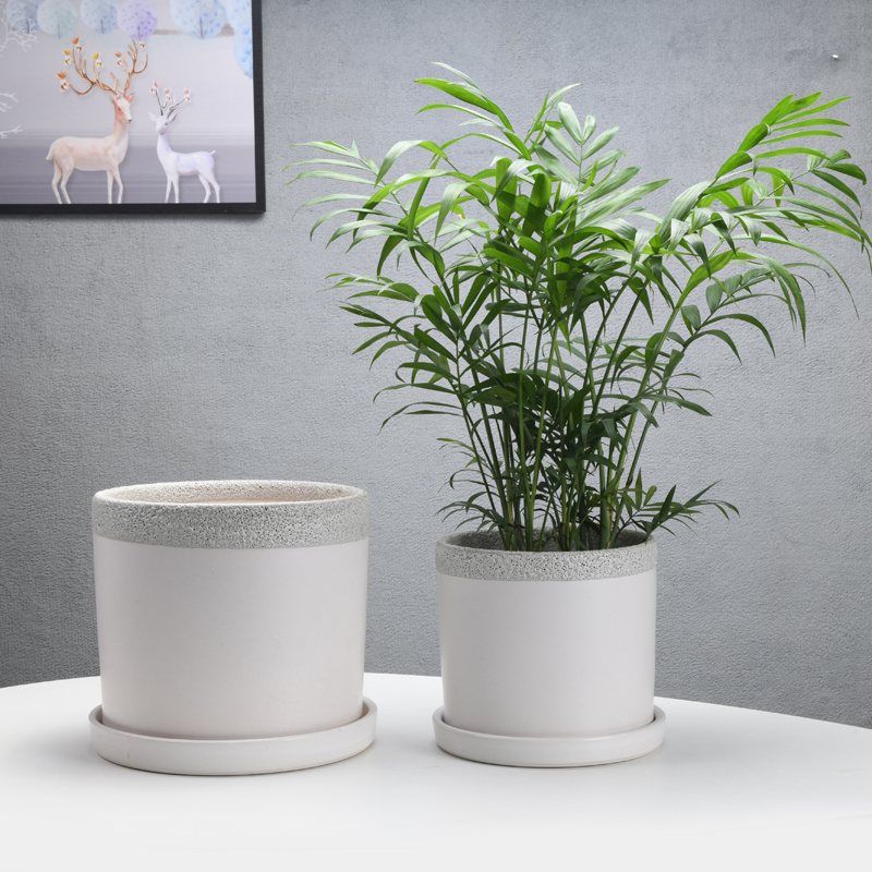 Of meat in the pot ceramic wholesale contracted green plant cylinder pot wholesale sitting room with extra large ceramic tray