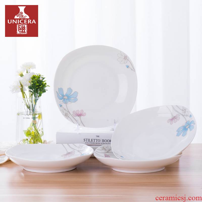 Quadrate dish dish ceramic individual creative household dumpling plate ipads deep dish European - style jingdezhen porcelain dish plate