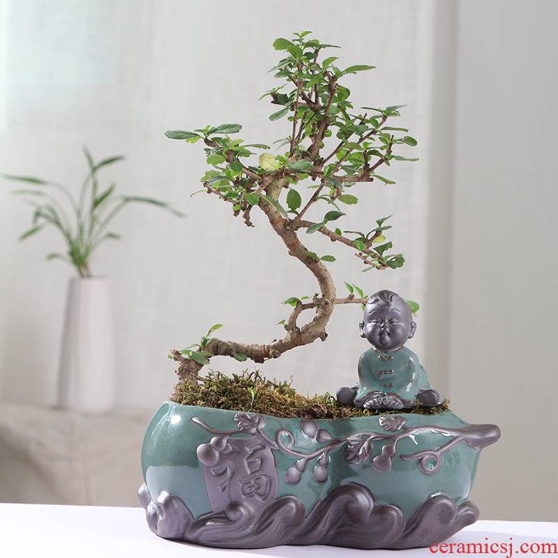 Chinese wind desktop asparagus pot pot ceramic creative move classic indoor money plant orchid art basin