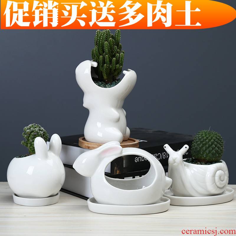 Creative move and lovely cartoon animal flowerpot more meat ceramic white office desktop small potted flower implement with tray