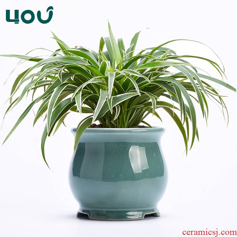 Bracketplant flowerpot brother ceramic up household green plant special other meaty plant butterfly orchid orchid pot creative basin