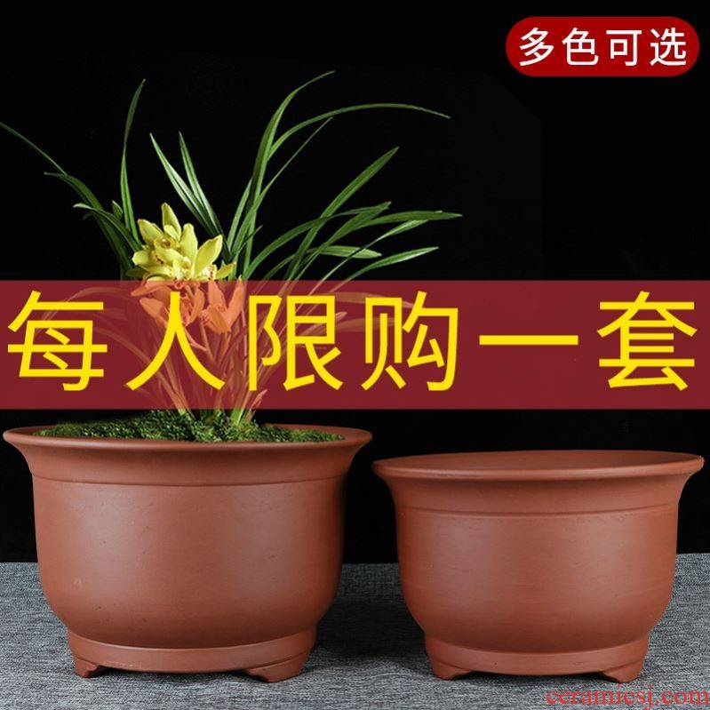 Pot clay money plant upset the balcony round flowers miniascape flower cactus orchid basin purple sand flowerpot fall to the ground