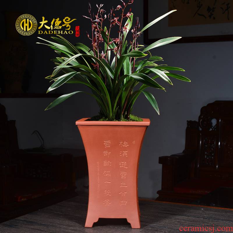 Greatness, purple orchid flower POTS square blue grass potted facilities. We ink special LanChunLan orchid flower POTS of the four seasons
