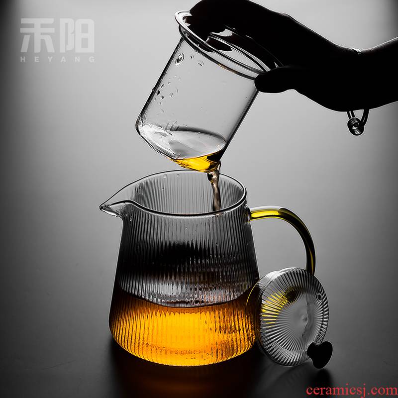 Send Yang filter glass teapot teapot high - temperature cooking pot electricity TaoLu household large flower pot office