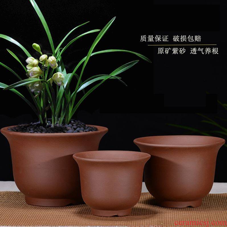 Chinese rose, violet arenaceous thickening clay money plant orchid flower POTS ceramic heavy large sitting room, miniascape green plant families