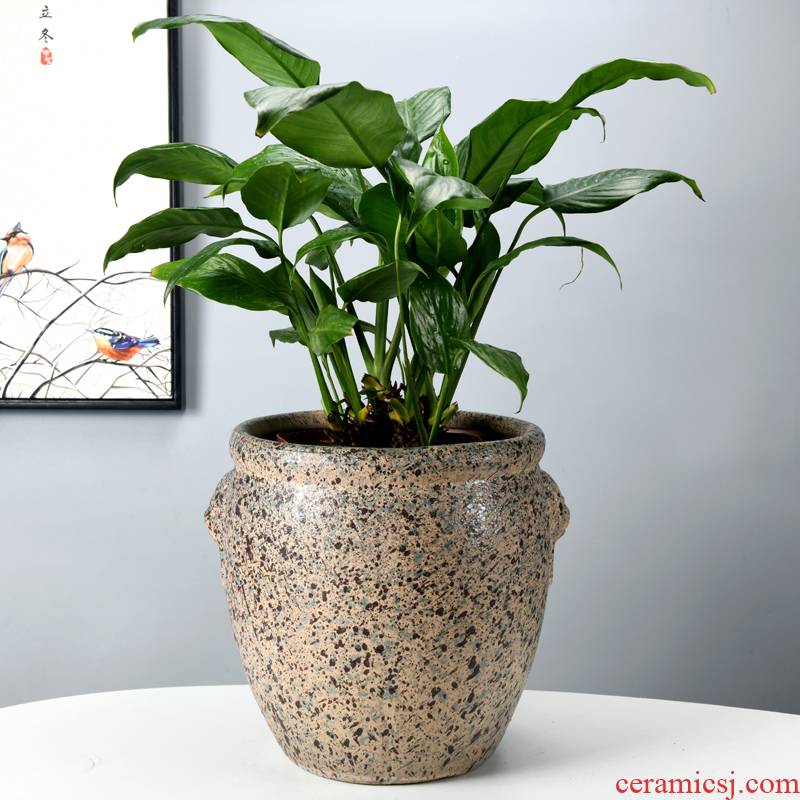 In ceramic flower POTS of meat contracted sitting room, miniascape of high - grade banyan basin old running the flowerpot oversized bag mail green plant