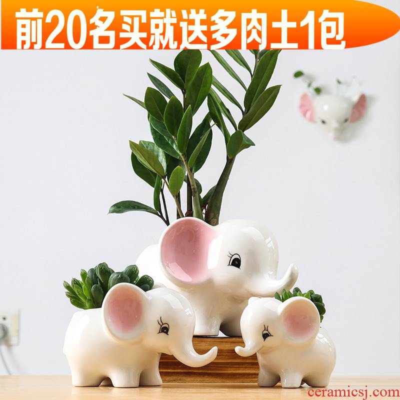 European contracted sitting room of indoor the plants flower pot home creative move and lovely cartoon ceramic flowerpot flower implement more meat