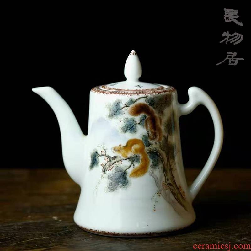 Limited offered home - cooked in pastel longevity rat coffee pot of jingdezhen ceramic tea set manually teapot kettle