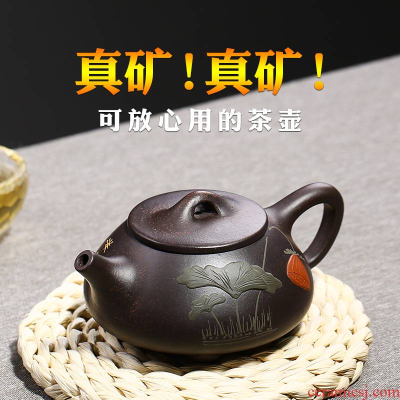 Yixing all hand black mud it xi shi pot stone gourd ladle filtering little teapot ceramic tea set flower pot