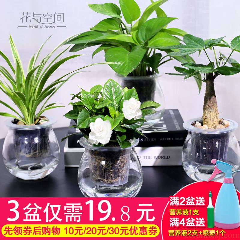 Lazy fleshy flowerpot creative ceramic refers to copper grass indoor hydroponic the plants potted meat meat automatic water basin