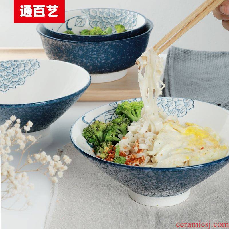 Tong baiyi home mercifully rainbow such as bowl ltd. hotel tableware ceramics horn hat to bowl of Japanese high rainbow such use