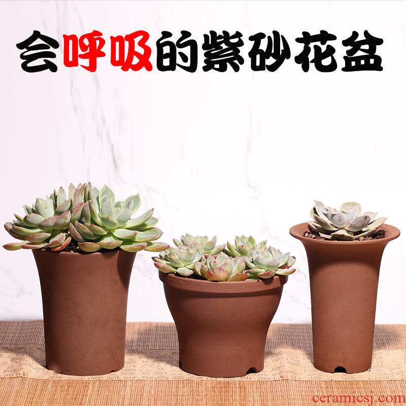 Vientiane flowerpot biscuit firing ceramic purple sand yixing creative tray indoor coarse pottery fleshy meat meat the plants other size