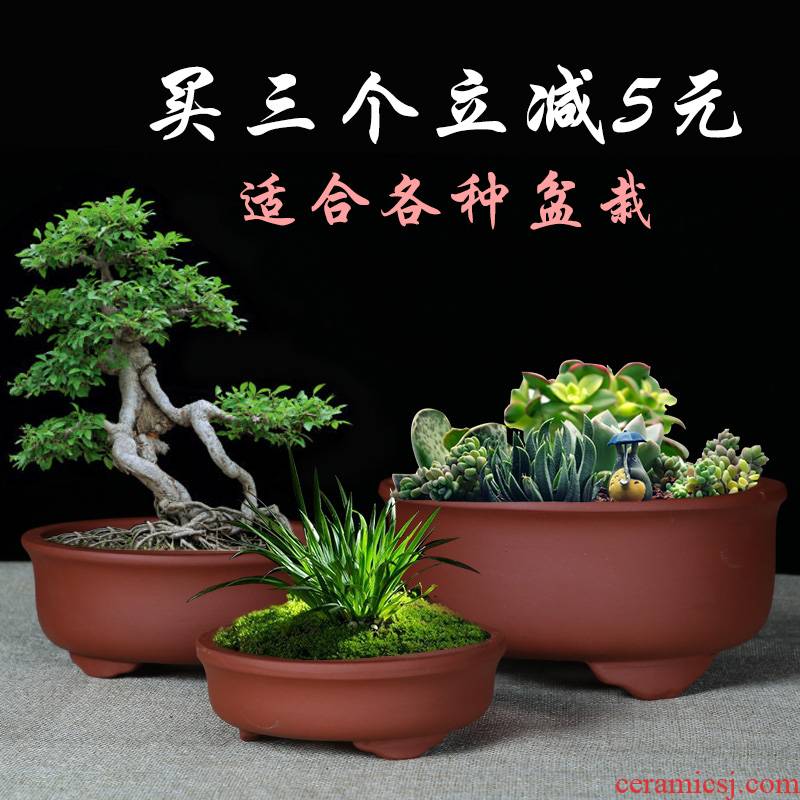 Yixing purple sand fleshy bonsai pot small chlorophytum balcony flowerpot contracted money plant green plant pot pottery and porcelain