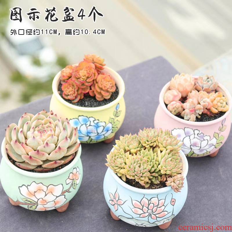 The End of hand - made of fleshy basin through pockets ceramic flower POTS, large diameter coloured drawing or pattern, fleshy creative move special offer a clearance package mail