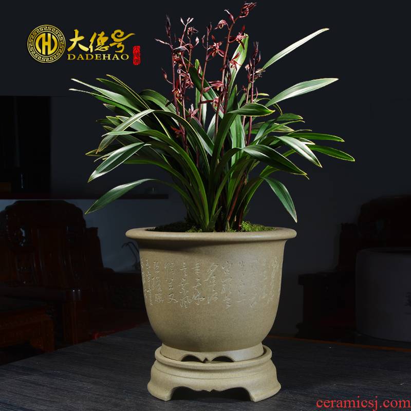 Greatness, ceramic purple sand flowerpot of large diameter with tray was special bluegrass butterfly orchid potted clivia orchid pot