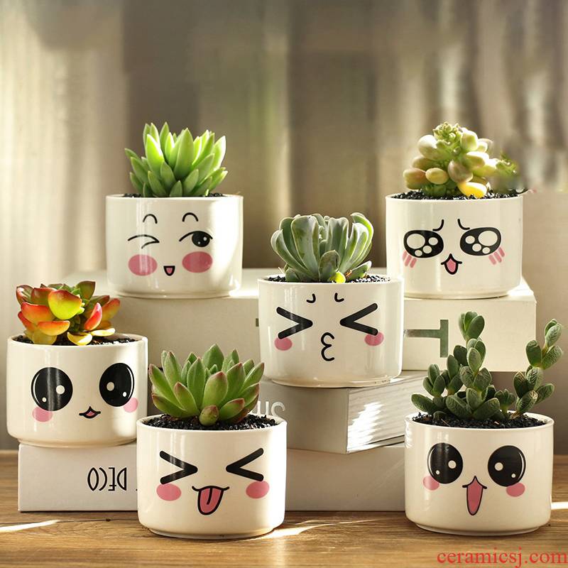 Fleshy flower pot set combination of creative move cartoon Fleshy plant small ceramic bowl package mail special offer a clearance