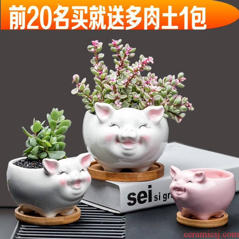 Contracted white flower POTS ceramic creative move and lovely cartoon animals, ", fleshy desktop floret with tray