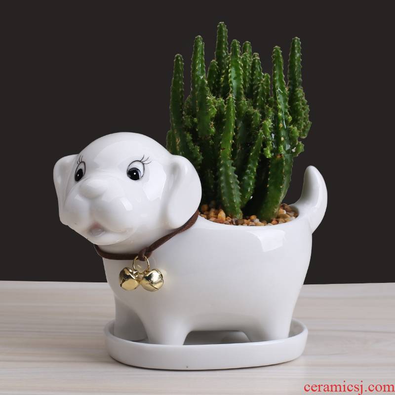 Cartoon animal flowerpot ceramic creative move more meat to contracted home sitting room plant flower implement small furnishing articles