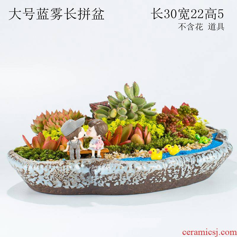 Large caliber oblong micro landscape home office more meat meat platter flowerpot ceramic plant