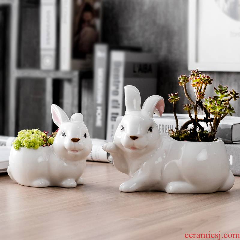 Porch make creative move hand - made ceramic flowerpot more meat small lovely white desktop flower implement rabbit potted the plants