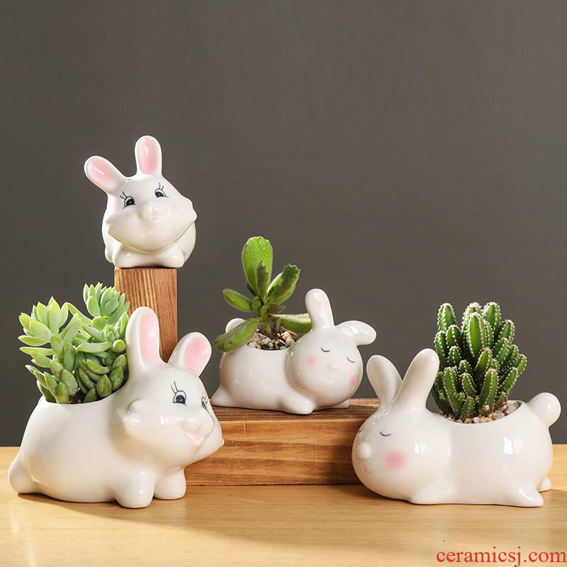 Creative cartoon animal, lovely small white rabbit ceramic flowerpot more meat desktop art flower pot plant furnishing articles