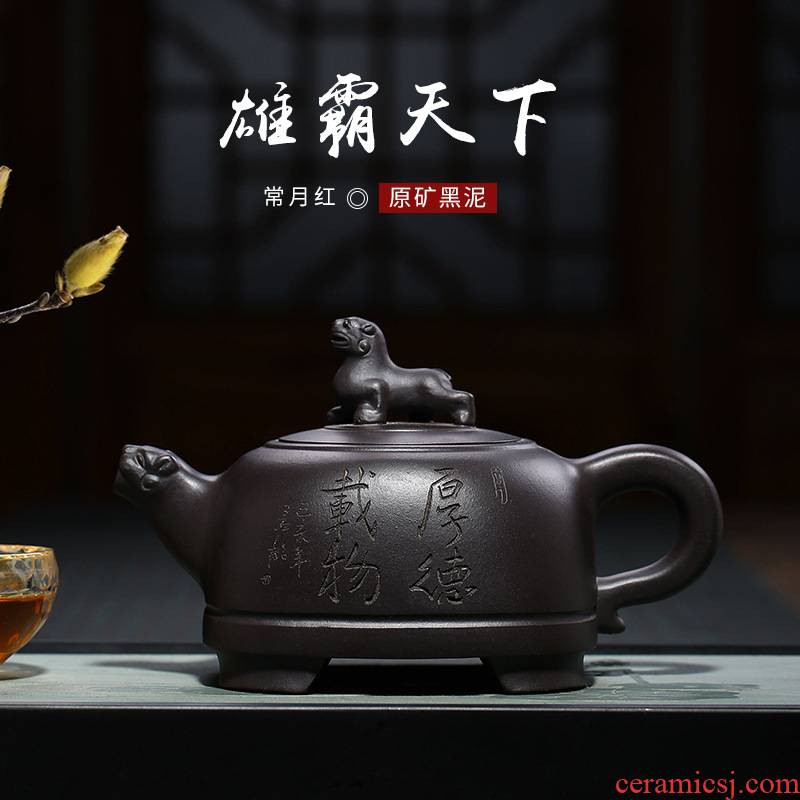 Yixing it undressed ore our black clay pot of flowers goods, in red ink cheetahs all hand teapot