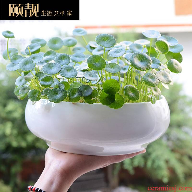 Money copper grass flower POTS ceramic clearance to use the lotus pond lily hydroponic container oversized refers to water load without holes