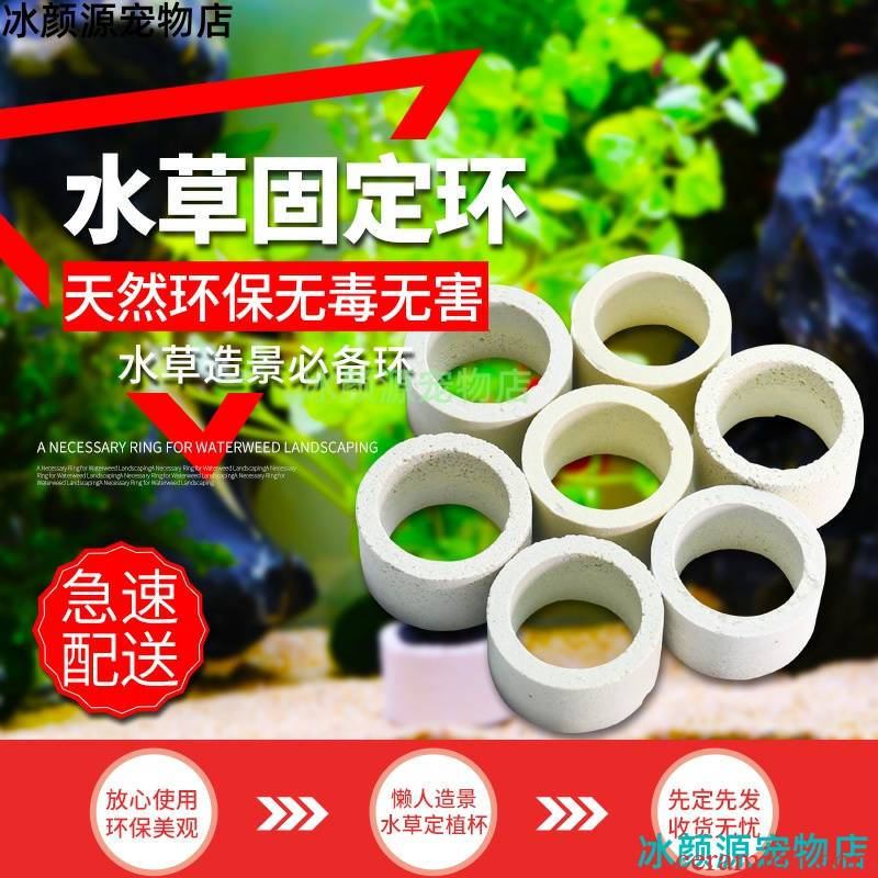 Water cup bottom tanks large in ceramic ring planes ceramic cup retaining ring engraftment novice grass base