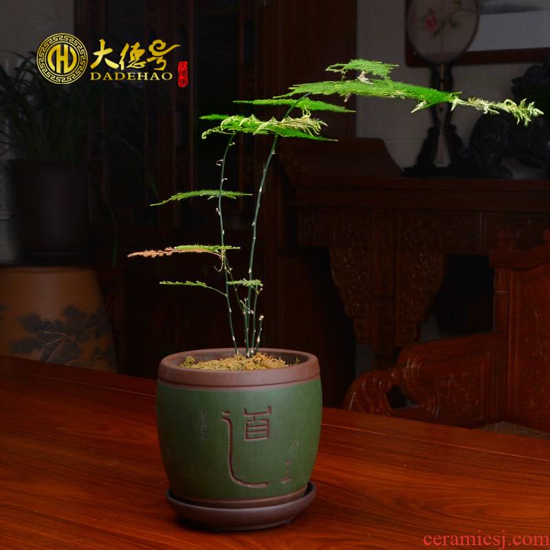 Purple sand flowerpot products rich tree asparagus flower pot in fleshy the plants indoor potted orchids yixing pottery and porcelain