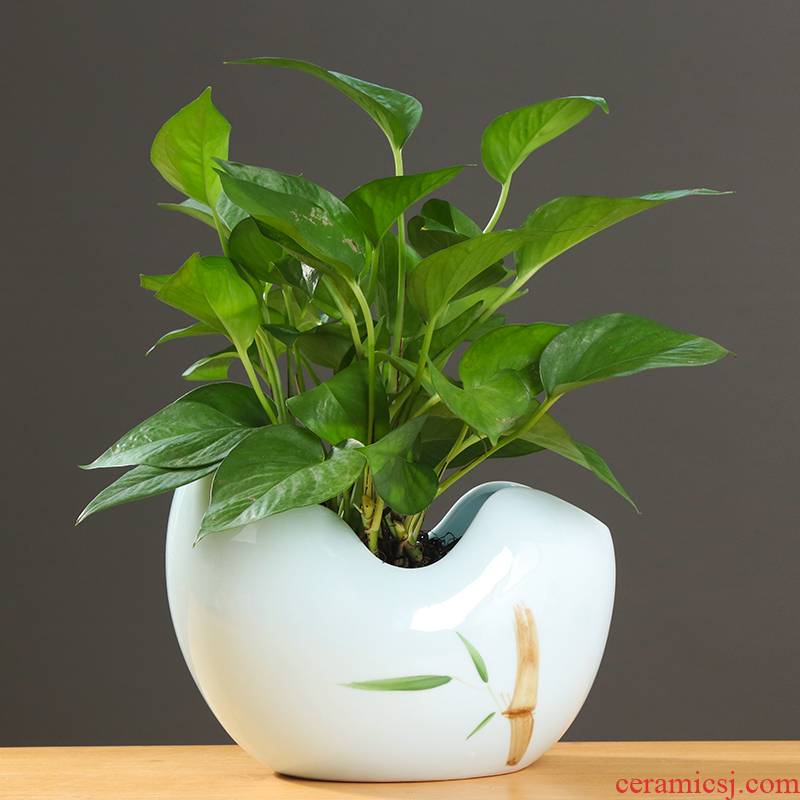 Simple ideas other grass cooper hydroponic flower pot ceramic large indoor desktop aquatic the plants vase move