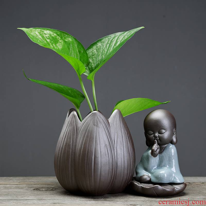 ZhuoJie pottery hydroponic plant individuality creative flower pot money plant green plant container home interior furnishing articles