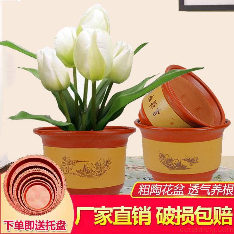 Ceramic POTS violet arenaceous red pottery clay POTS potted yew orchid sitting room high - end special ground flowerpot