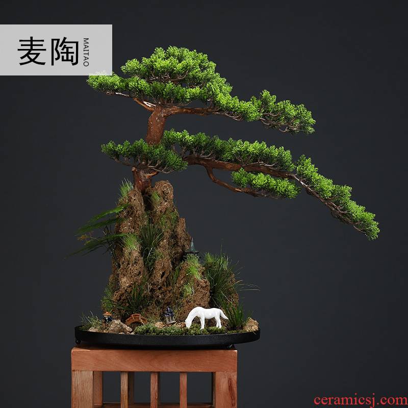 New Chinese style household furnishing articles MaiTao guest - the greeting pine bonsai four seasons hotel corridor green plant porch decorate furnishing articles