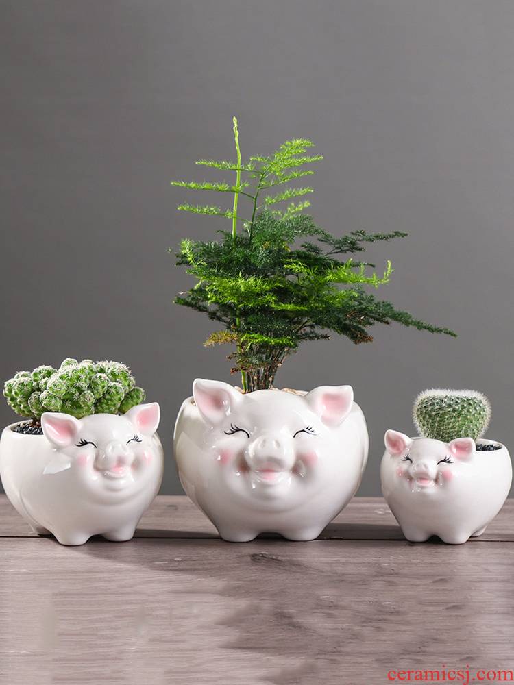 Express cartoon pig meat flowerpot creative move more small green plant asparagus other animals potted flower exchanger with the ceramics