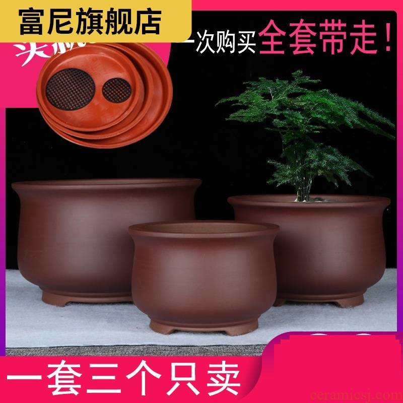 The Rich, the balcony a clearance sale, fleshy violet arenaceous basin of contracted other clivia yixing ceramic bonsai pot orchid basin