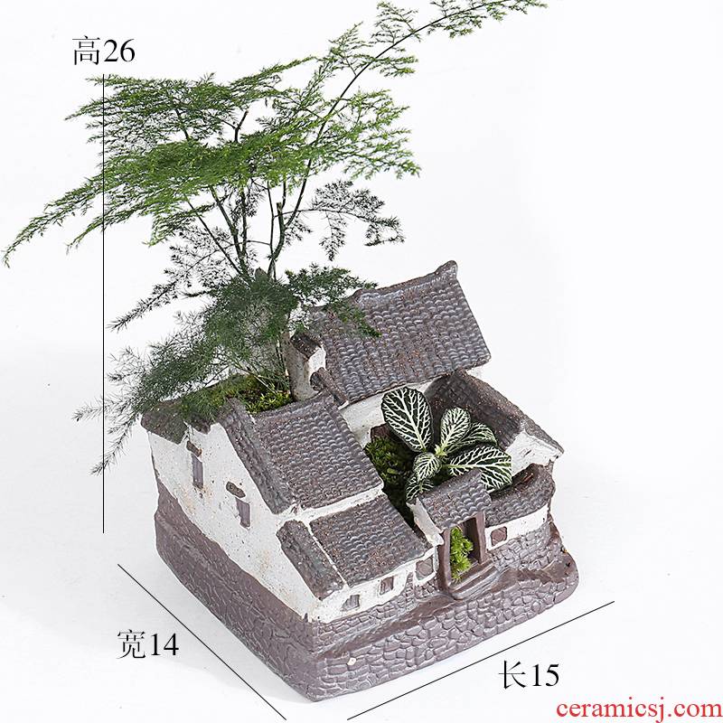 Large green asparagus creative move, lovely jiangnan water flowerpot ceramic purple small house more meat meat the plants