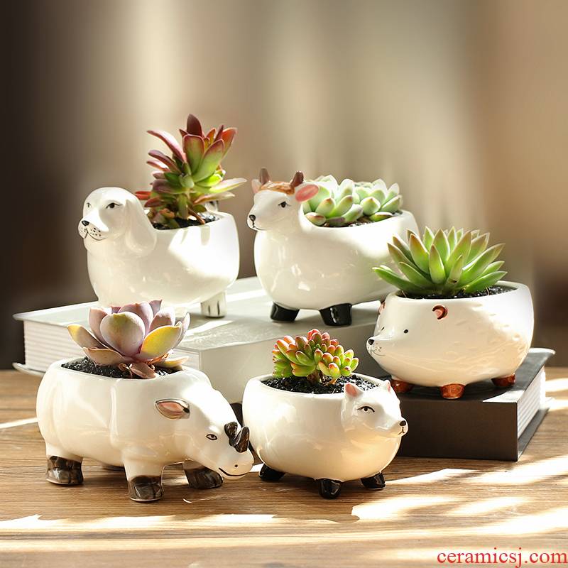 Platinum jade ceramic flower POTS of flowerpot cartoon animals more meat the plants more creative move manual coloured drawing or pattern white porcelain basin