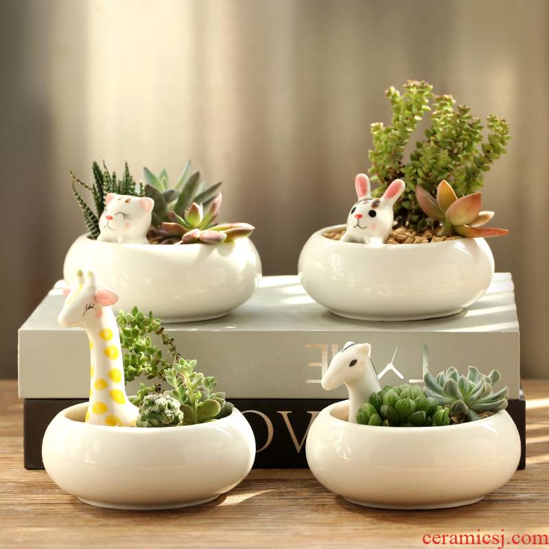 Platinum jade fleshy flowerpot cartoon ceramic flower pot indoor desktop express giraffe charming animals potted the plants