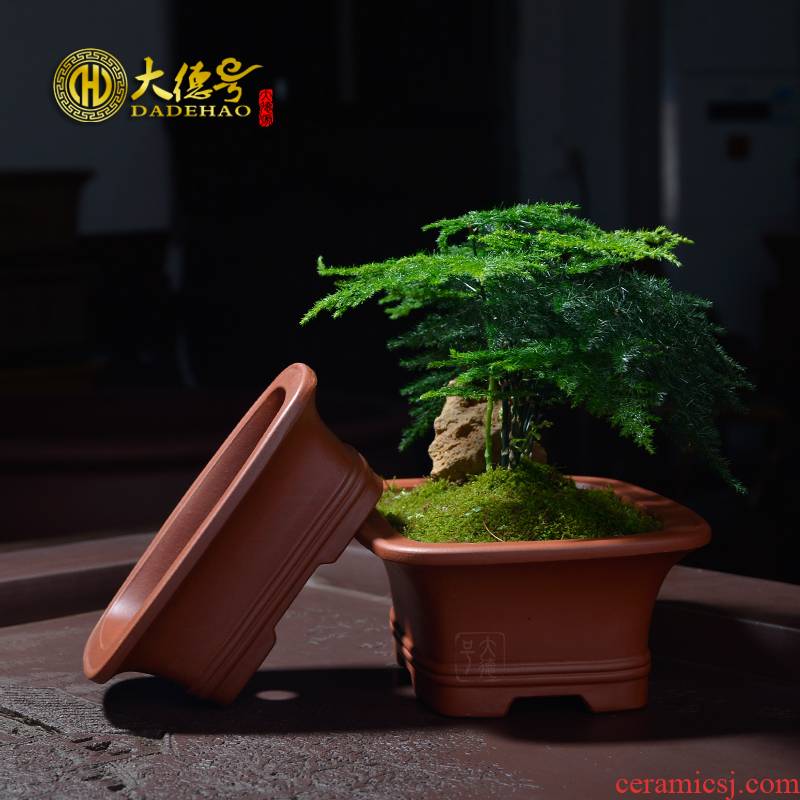 Asparagus pot of purple sand flowerpot yixing boutique small bonsai pot size rectangular fleshy green plant calamus basin