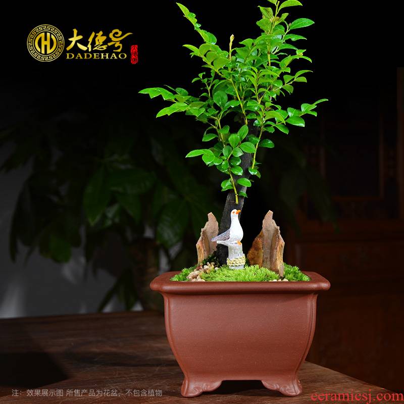 Purple sand flowerpot square indoor potted bonsai pot desks meaty plant calamus asparagus rosewood small basin