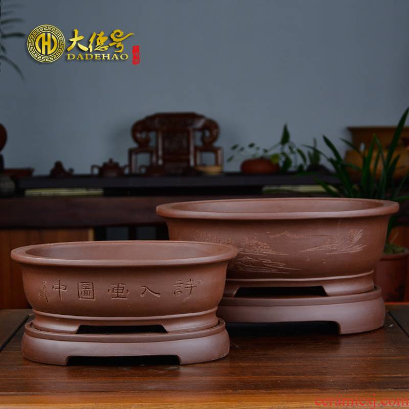 Bonsai pot yixing purple sand flowerpot with optimum size of pot water pans the ellipse, the plants banyan five hieroglyphics flos mume