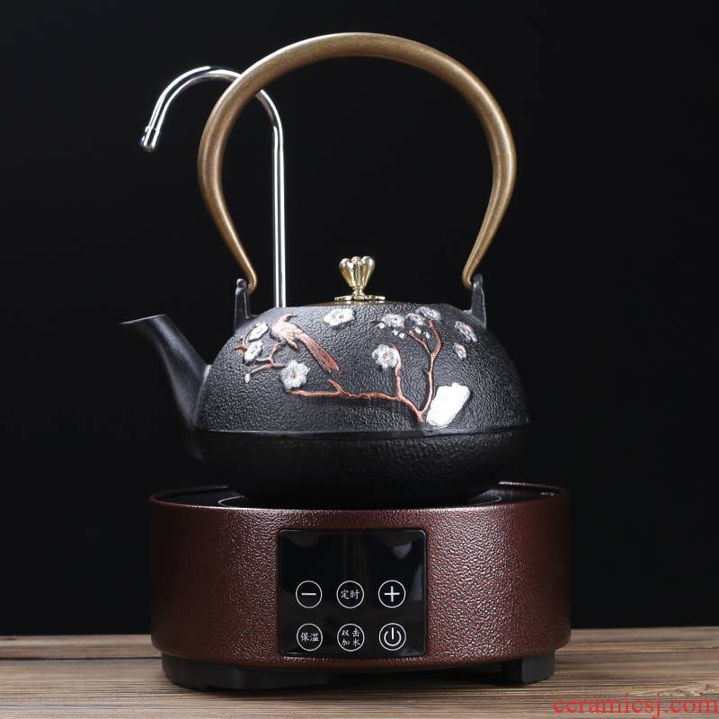 ZongTang boiled pig iron kettle electric TaoLu boiled tea, the teapot imitation Japan cast iron pot of burn blisters tea set home