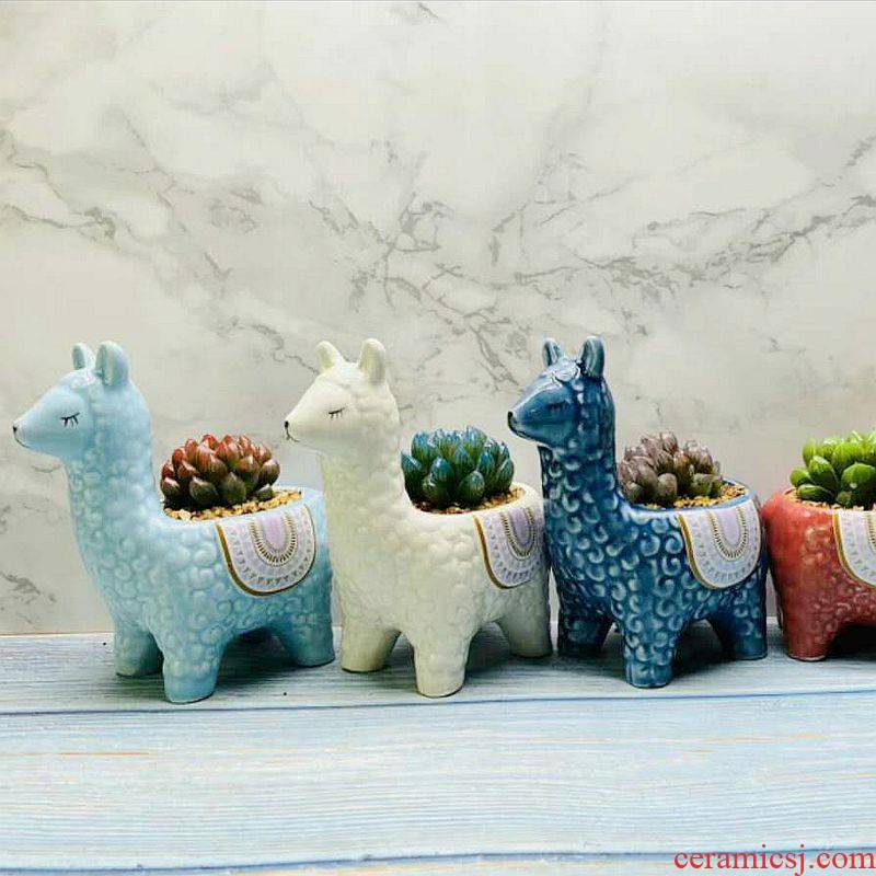 Blue creative move alpaca small express it in mini thumb animal flowerpot ceramic furnishing articles long square more than meat