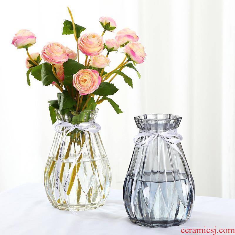 Flower arranging transparent glass home furnishing articles hydroponic dried flowers of northern new sitting room adornment small pure and fresh and large vases, pottery and porcelain