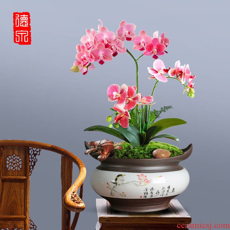 Celadon colorful butterfly orchid flower POTS hand - made contracted creative purple asparagus with ceramic tray was large new during the Spring Festival